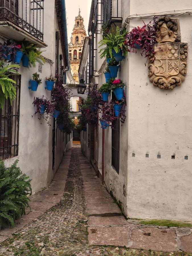 Calle San Basilio - Patios. Aparcamiento Gratis Apartment Cordoba