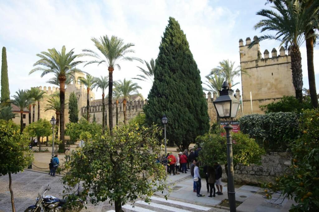 Calle San Basilio - Patios. Aparcamiento Gratis Appartement *